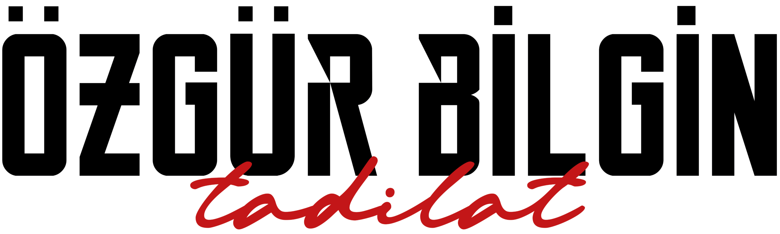 Özgür Bilgin Tadilat